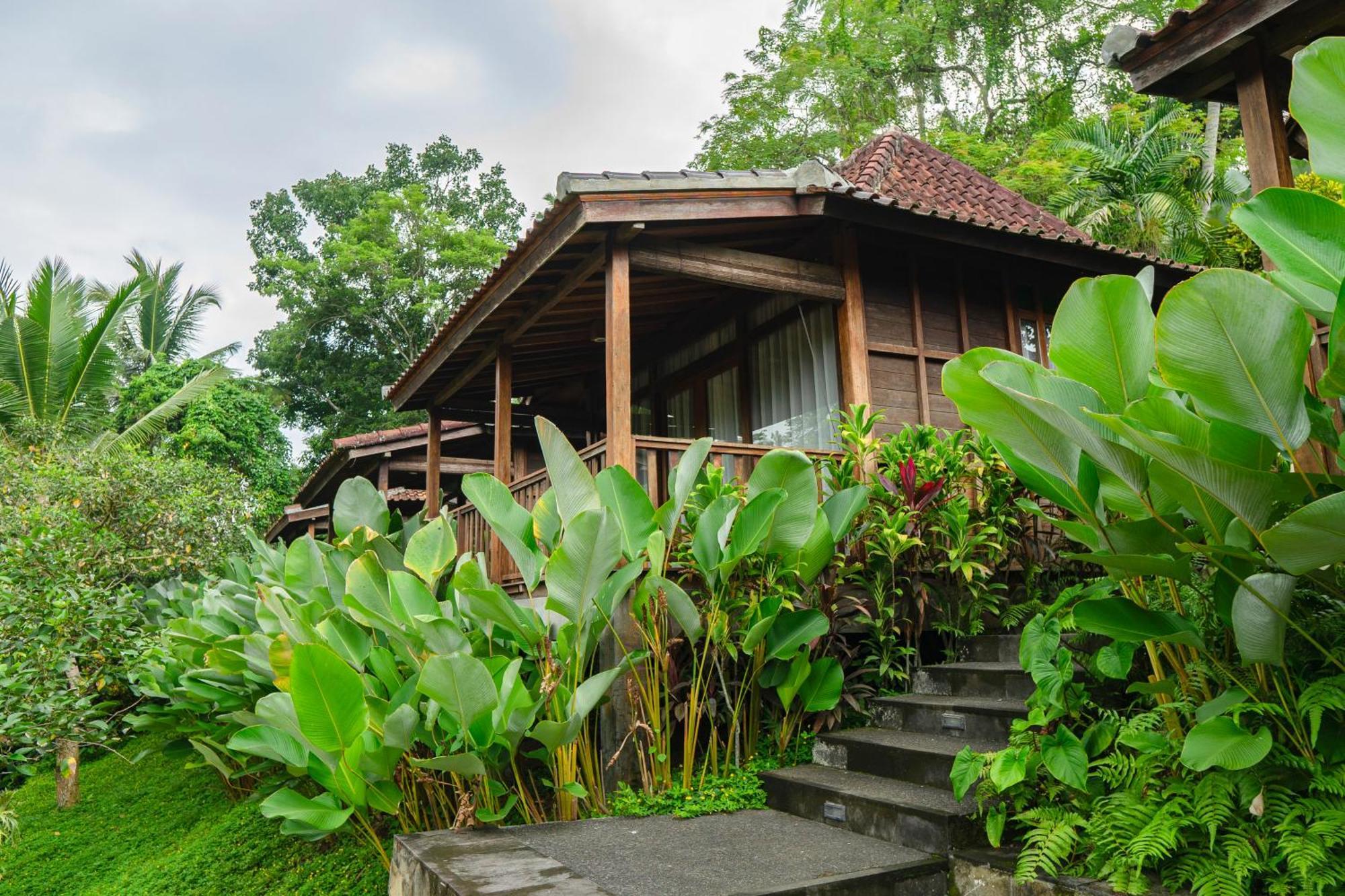 Hotel Pertiwi Bisma 1 Ubud Zewnętrze zdjęcie