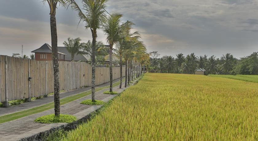 Hotel Pertiwi Bisma 1 Ubud Zewnętrze zdjęcie